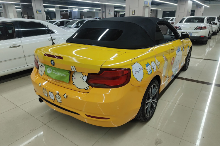 宝马2系(进口) 2018款 220i 敞篷轿跑车 运动设计套装车身外观6005