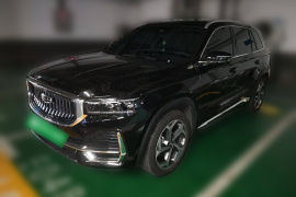 吉利汽车 星越L 2024款 2.0TD DCT EVO两驱长风版