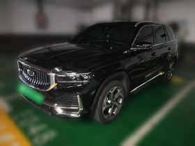 吉利汽车 星越L 2024款 2.0TD DCT EVO两驱长风版