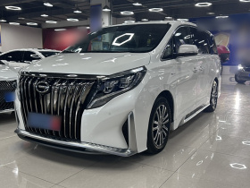 广汽传祺 传祺M8 2021款 大师系列 390T 尊贵版