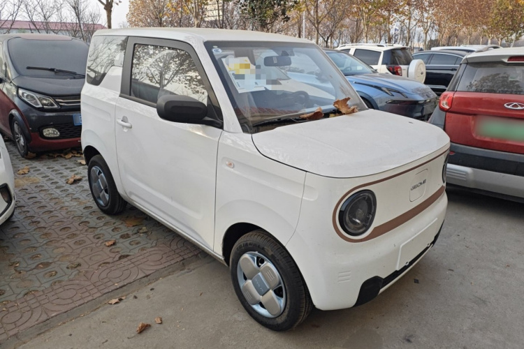 吉利银河 2024款 熊猫mini 200km 耐力熊车身外观6002