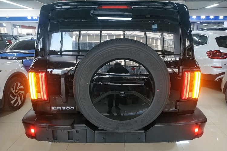 坦克300 2024款 2.0T 征服者车身外观6