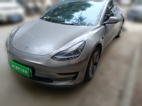 特斯拉 Model 3 2022款 后轮驱动版