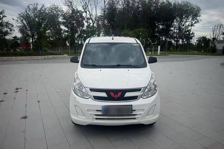 五菱汽车 五菱荣光V 2019款 1.5L封窗车实用型国VI LAR车身外观6001