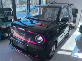 吉利银河 2025款 210km 熊猫卡丁