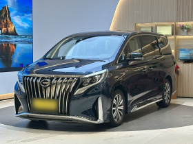 广汽传祺 传祺M8 2020款 大师版 390T 尊贵版