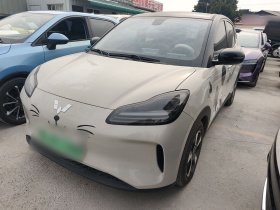 五菱汽车 五菱缤果PLUS 2024款 330km 五座版