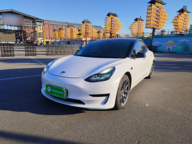 特斯拉 Model 3 2021款 改款 标准续航后驱升级版 3D1