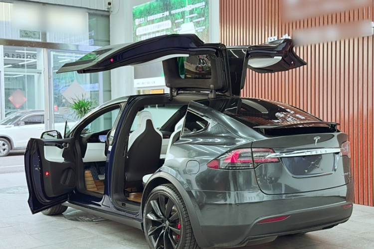 特斯拉 Model X 2019款 Performance 高性能版车身外观6003