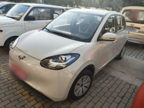 五菱汽车 五菱缤果 2023款 203km 轻享款