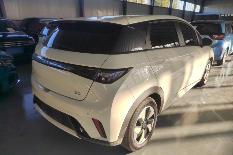 比亚迪 海豚 2024款 荣耀版 420km 时尚版车身外观7