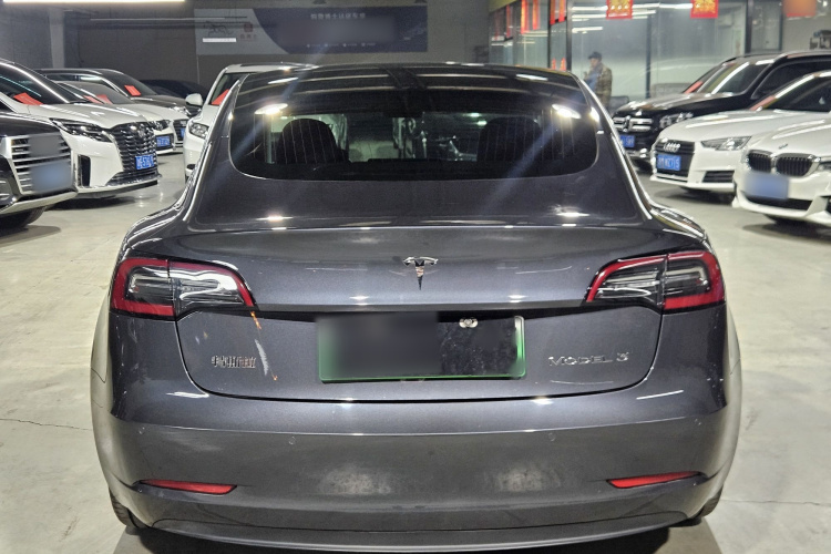 特斯拉 Model 3 2019款 标准续航后驱升级版车身外观6004