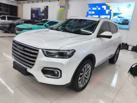 哈弗H6 2020款 2.0GDIT 自动铂金冠军版