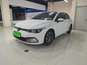 大众 高尔夫 2024款 280TSI DSG Pro 50年传奇版