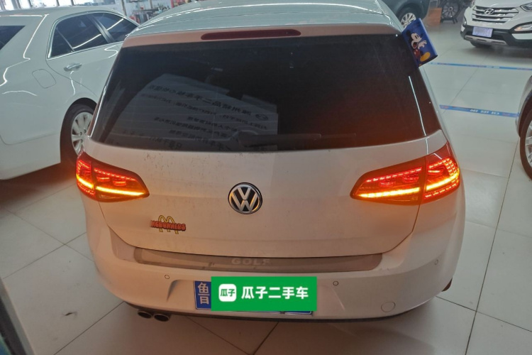 大众 高尔夫 2016款 230TSI 自动豪华型车身外观6