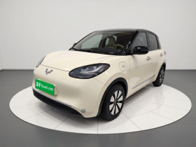 五菱汽车 五菱缤果 2025款 333km 悦享款