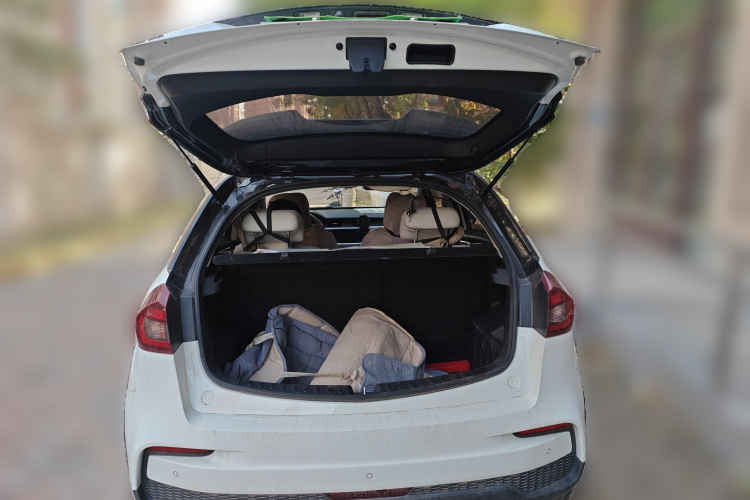 睿蓝汽车 枫叶30X 2020款 智行版中控内饰23