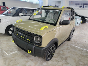 吉利银河 2025款 210km 熊猫骑士