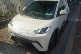 比亚迪 海鸥 2024款 荣耀版 405km 飞翔版