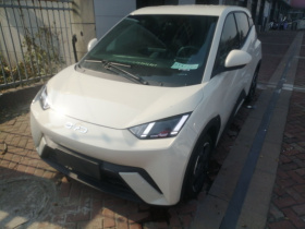 比亚迪 海鸥 2024款 荣耀版 405km 飞翔版