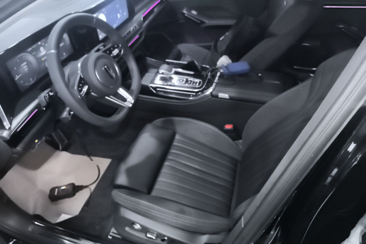 红旗H9 2024款 2.0T 旗享 私享风尚版局部细节19