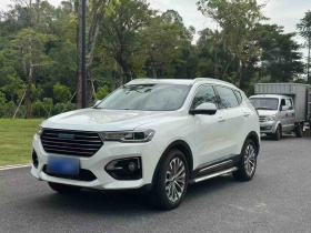 哈弗H6 2019款 蓝标 2.0GDIT 自动豪华智联版