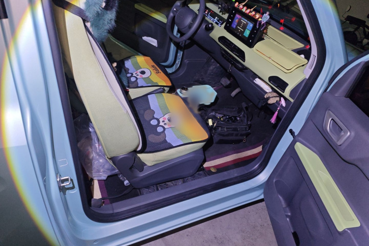 吉利银河 2024款 熊猫mini 200km 耐力熊局部细节9005