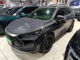 比亚迪 唐新能源 2022款 DM-p 215KM 四驱旗舰型