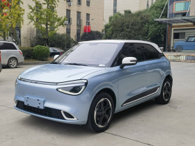 东风纳米 纳米01 2024款 430 Plus智+