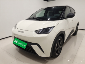 比亚迪 海鸥 2023款 自由版