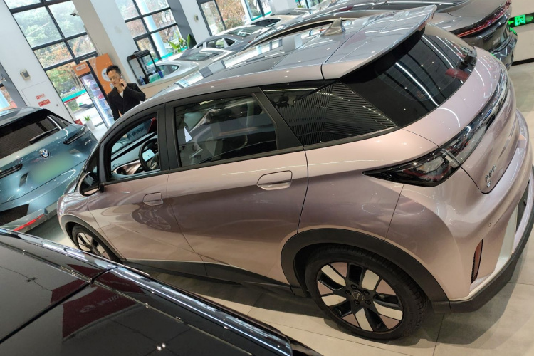 比亚迪 海豚 2023款 401km 骑士版车身外观4