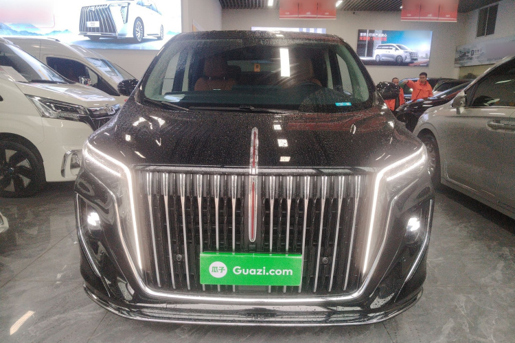 红旗HQ9 2024款 2.0T 商务版车身外观6001