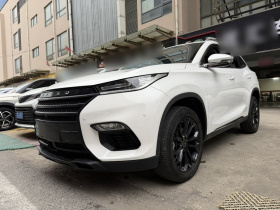 星途TX 2020款 1.6T 两驱星尚版