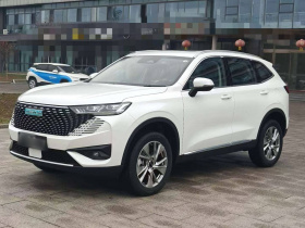 哈弗H6新能源 2023款 DHT-PHEV 110KM 悦行版