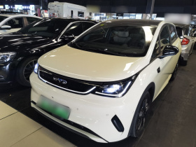 比亚迪 海豚 2025款 智驾版 410km 时尚版