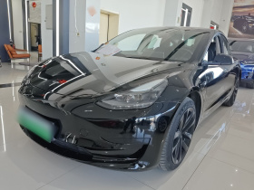特斯拉 Model 3 2021款 改款 标准续航后驱升级版 3D1