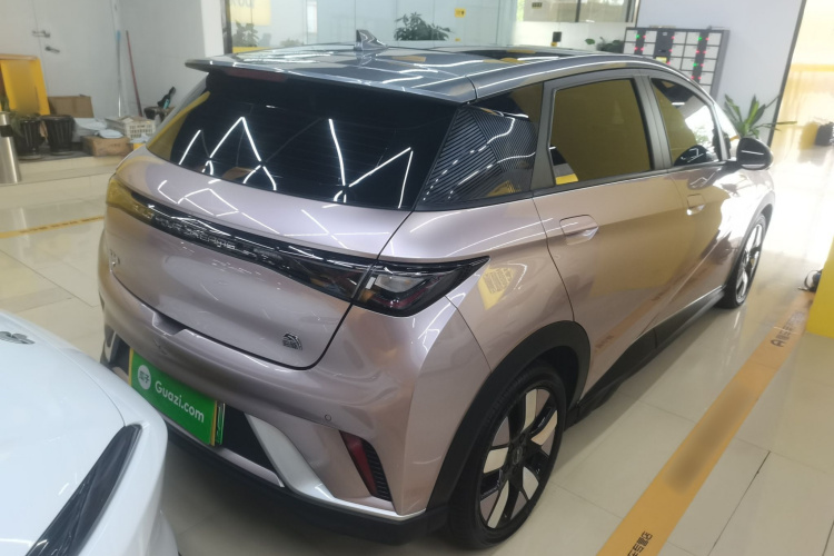 比亚迪 海豚 2021款 401km 骑士版车身外观6005