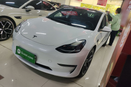 特斯拉 Model 3 2022款 Performance高性能全轮驱动版