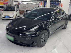 特斯拉 Model 3 2020款 标准续航后驱升级版