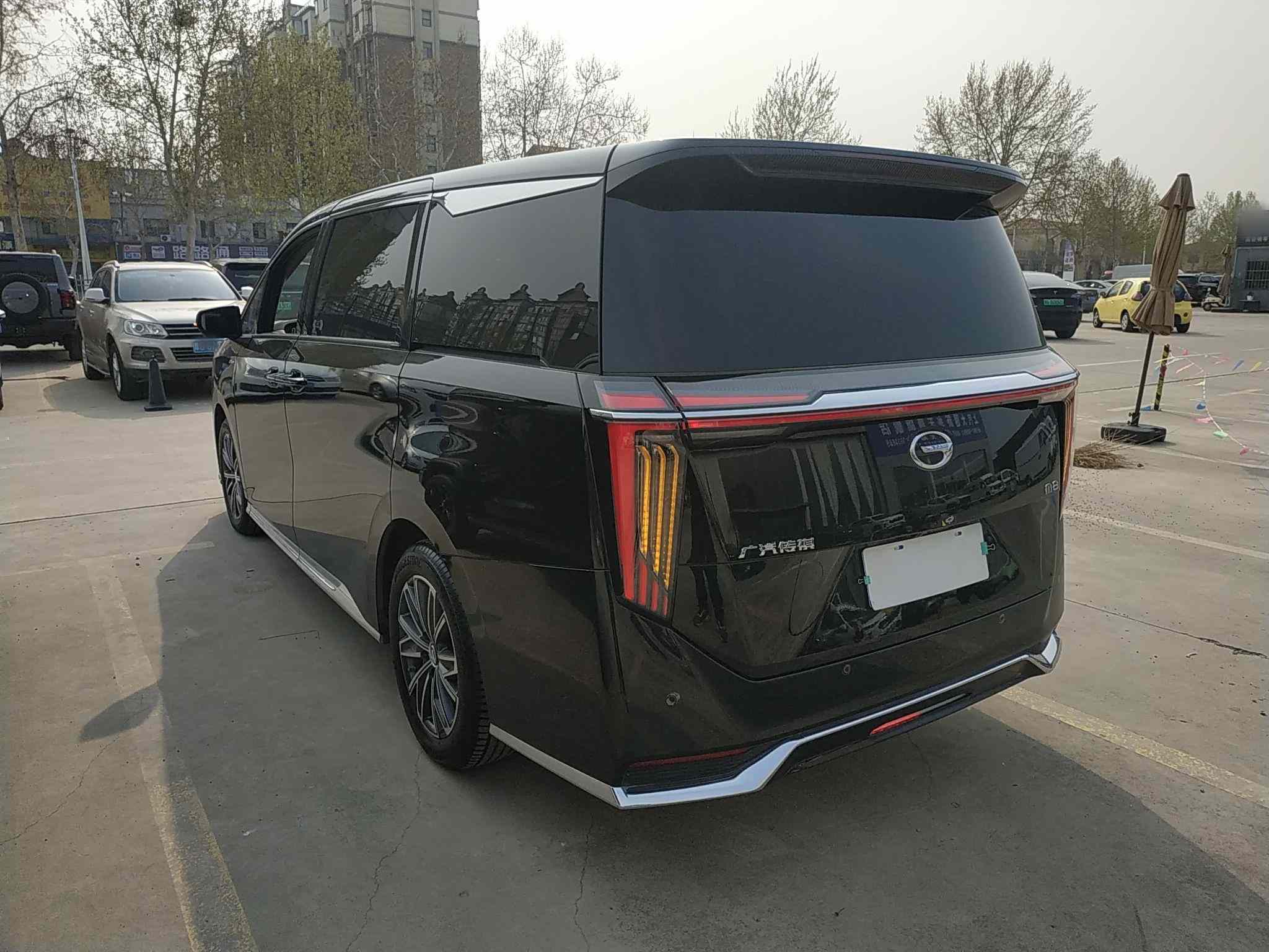 广汽传祺 传祺M8 2024款 大师系列 400T 尊贵版(3)