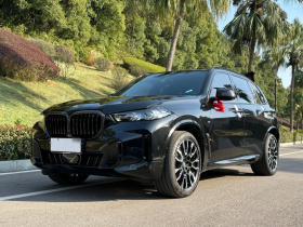 宝马X5 2023款 xDrive 40Li M运动曜夜套装