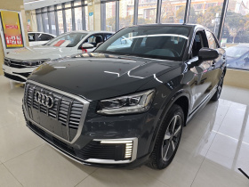 奥迪Q2L e-tron 2019款 Q2L e-tron 纯电智享型