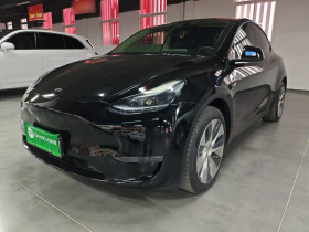 特斯拉 Model Y 2021款 标准续航后驱版