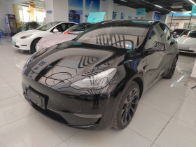 特斯拉 Model Y 2021款 标准续航后驱版