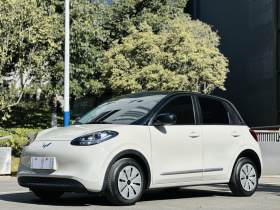 五菱汽车 五菱缤果 2023款 203km 轻享款