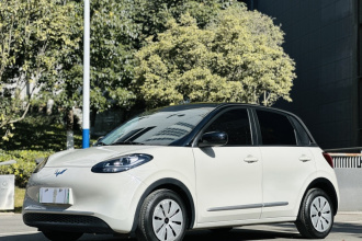 五菱汽车 五菱缤果 2023款 203km 轻享款