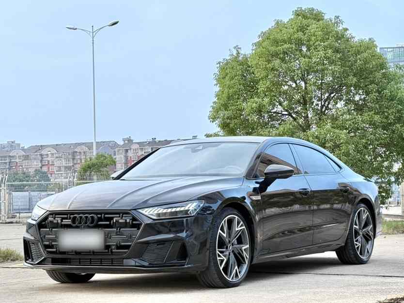 奥迪A7L 2024款 45 TFSI quattro 黑武士版(1)