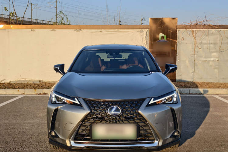 雷克萨斯UX新能源 2020款 300e 纯·悦版车身外观6001