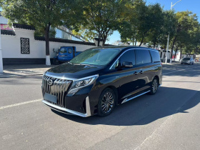 广汽传祺 传祺M8 2021款 大师系列 390T 至尊版