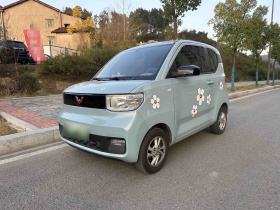 五菱汽车 宏光MINIEV 2020款 悦享款 磷酸铁锂